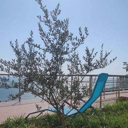 Apartment Oliva Ulcinj Exterior foto